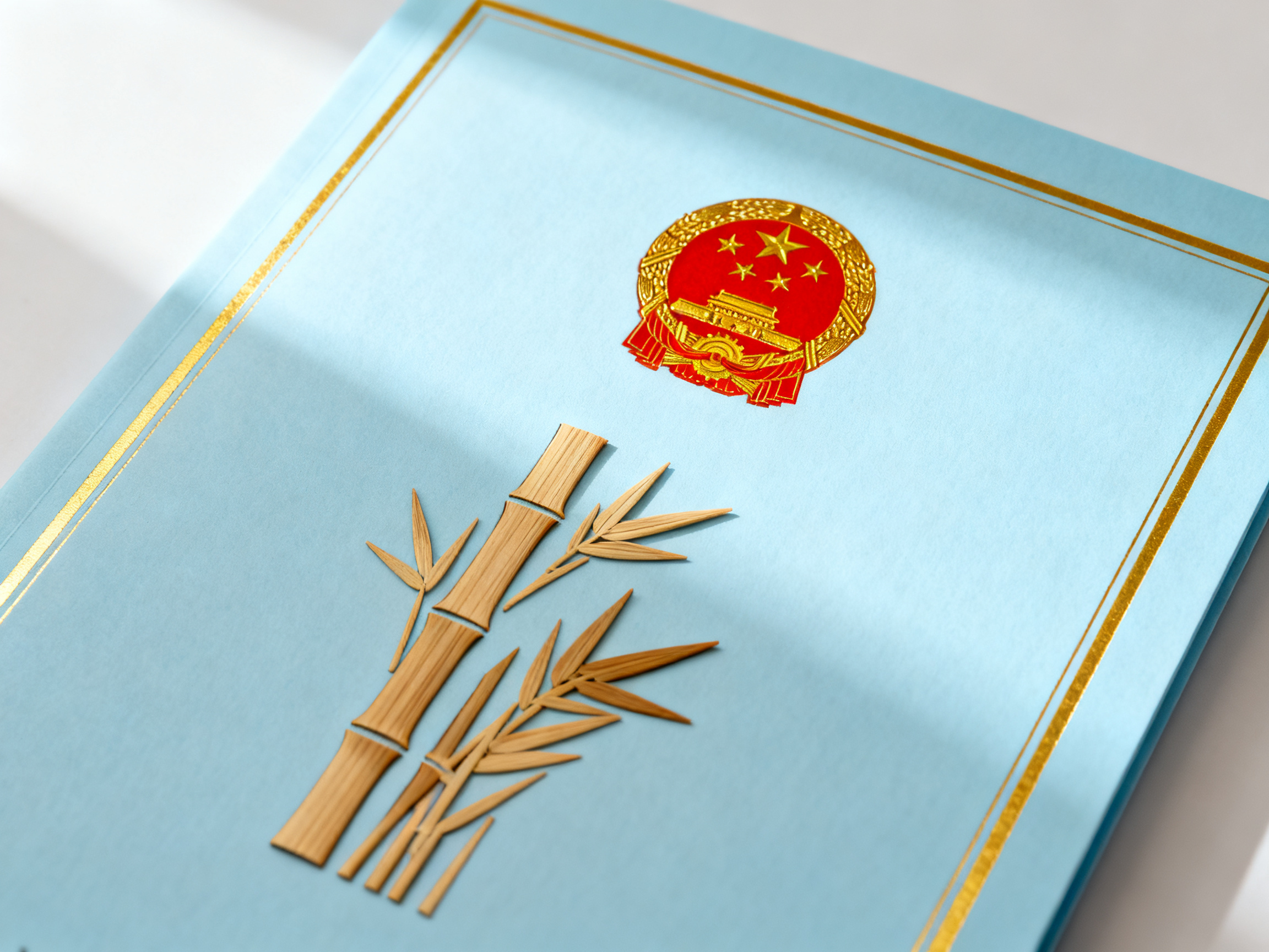 Bamboo & Grass Products Registration